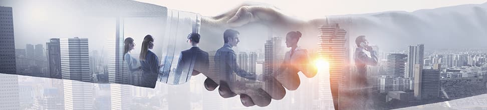 Company Profile
